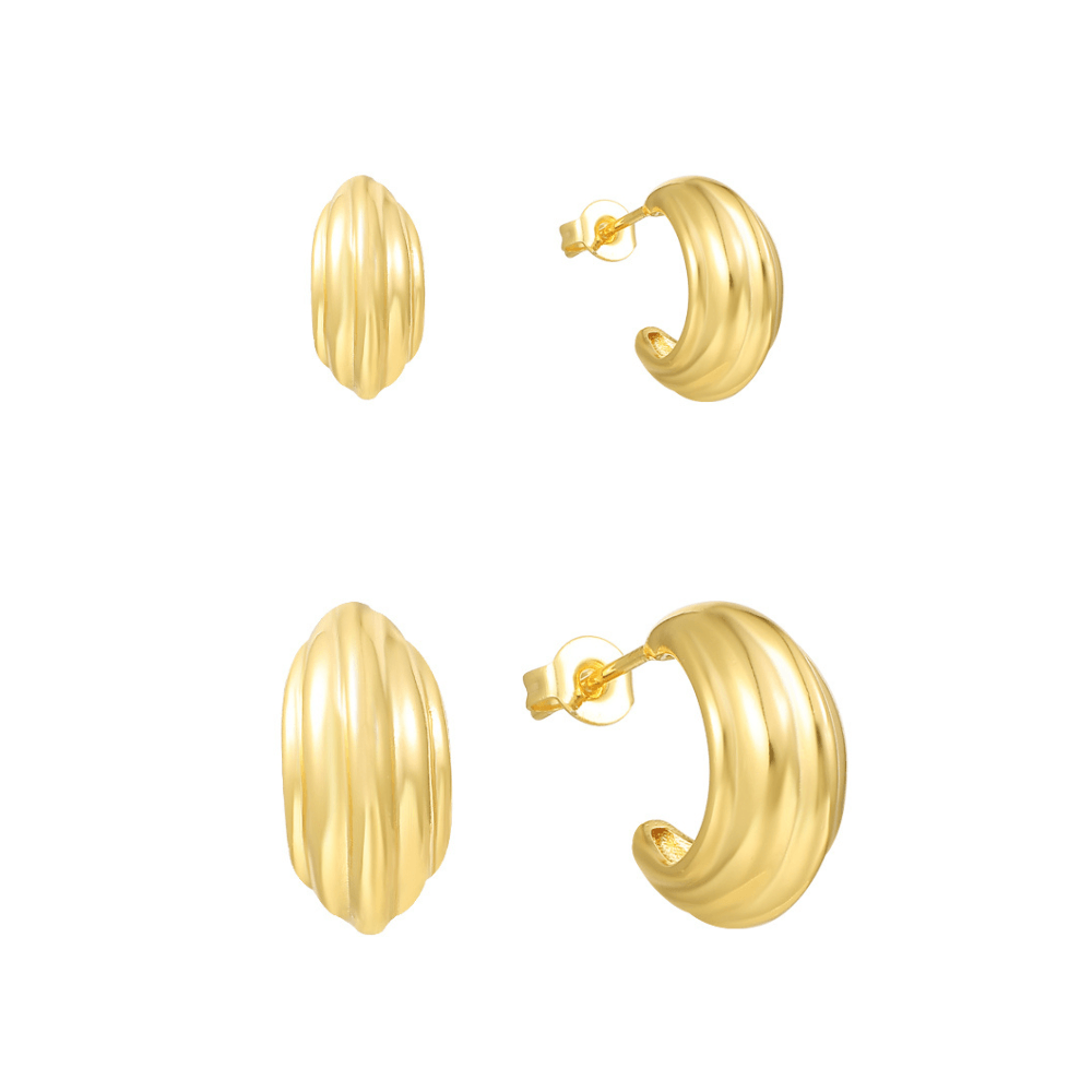 Heart and Soul Earrings - EVRYJEWELS